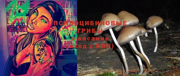 гидропоника Балабаново