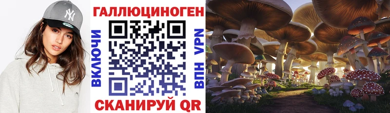 продажа наркотиков Первомайск Галлюциногенные грибы мицелий